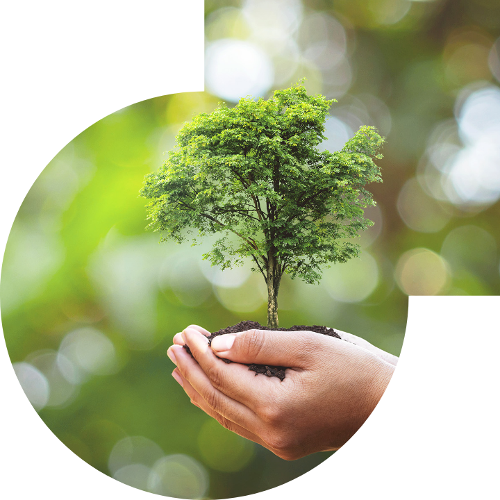 关怀人类、文化、环境与社会